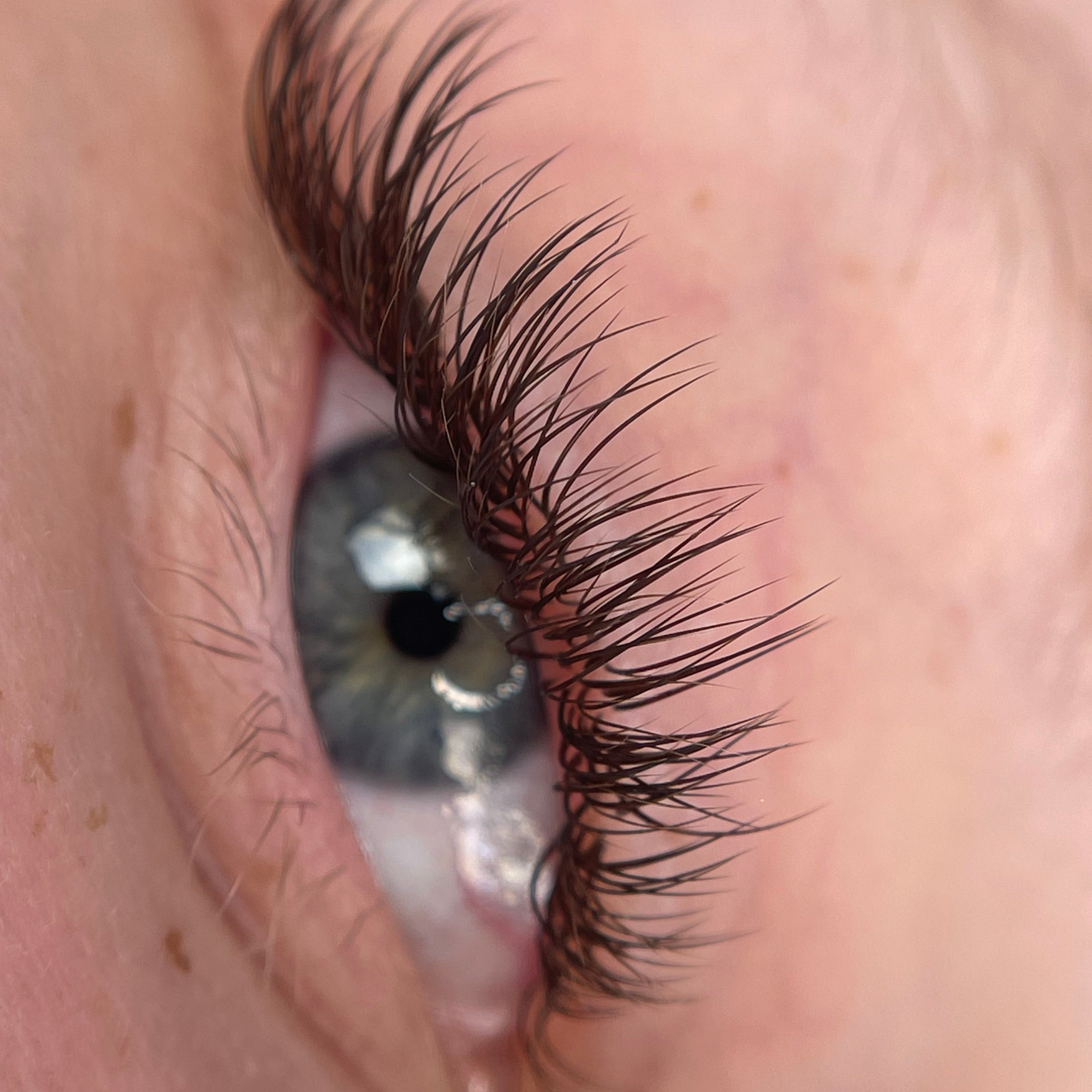 0.15  ☕️ Brown Classic Single Length Lash Trays