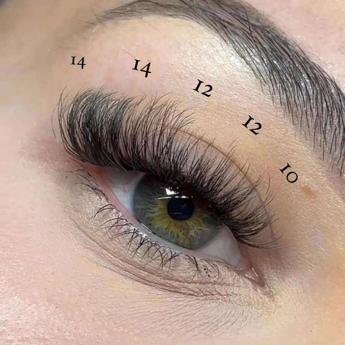 Angel Baby Multi-pack