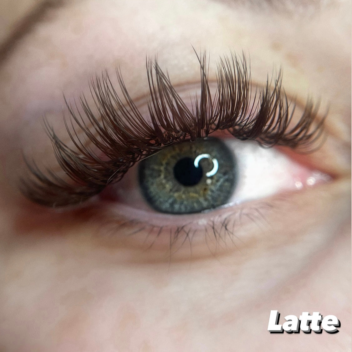 0.02  ☕️ Brown Single Length Lash Trays