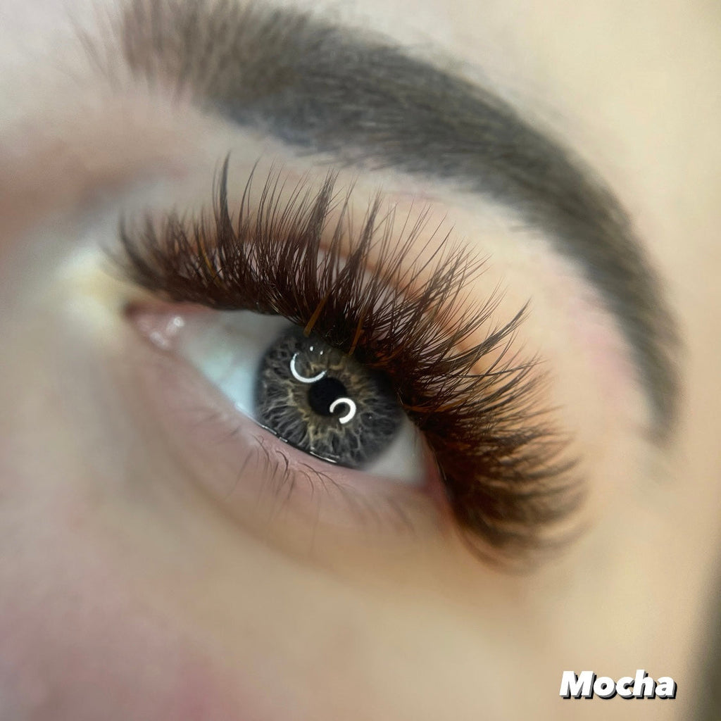 0.02  ☕️ Brown Single Length Lash Trays