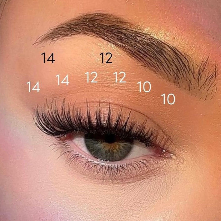 Free Spirit Multi-Pack